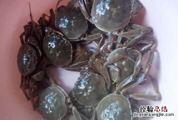 大闸蟹蒸多久