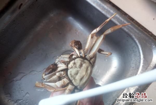 大闸蟹蒸多久