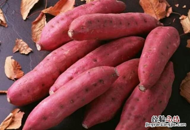 地瓜粉条和红薯粉条的区别 地瓜和红薯有什么区别
