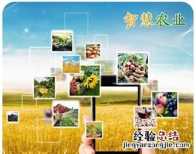 你认为现在什么行业的前景比较好