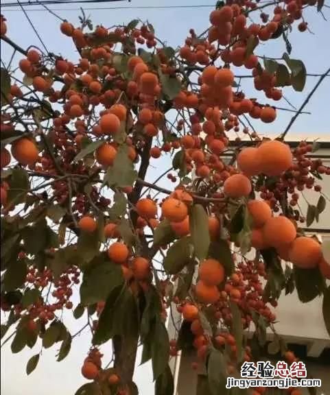 又是一年中秋节,你的中秋节记忆是什么歌曲