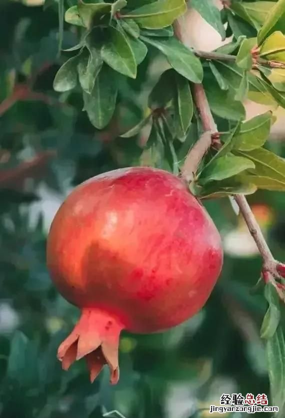 又是一年中秋节,你的中秋节记忆是什么歌曲