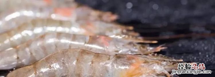 南美白虾是淡水虾还是海水虾