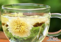 菊花茶哪些人一定不能喝，喜欢菊花的人是什么性格