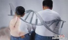 咋吃都不胖可能是基因突变