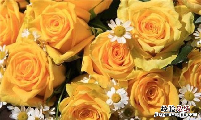 入宅不能买什么鲜花