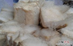 长毛的豆腐是变质了，大方手撕豆腐发霉了还能吃