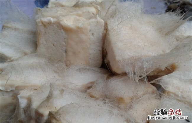 长毛的豆腐是变质了,大方手撕豆腐发霉了还能吃