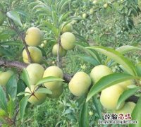 2022新版淘宝的农村淘宝入口在哪