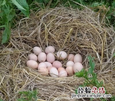 2022新版淘宝的农村淘宝入口在哪