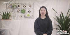 梅花的精神是什么，形容梅花的精神的成语