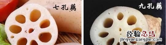gb17945-2010莲藕七孔与九孔区别