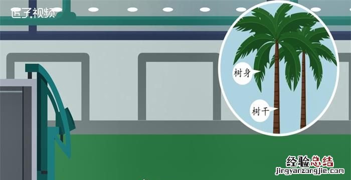 西米是什么东西做的