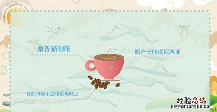 猫屎咖啡的由来,猫屎咖啡的原理与生物化学的关系