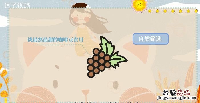 猫屎咖啡的由来,猫屎咖啡的原理与生物化学的关系