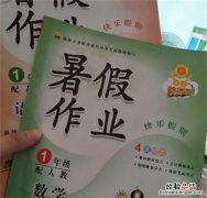 孩子暑假作业丢了去哪买