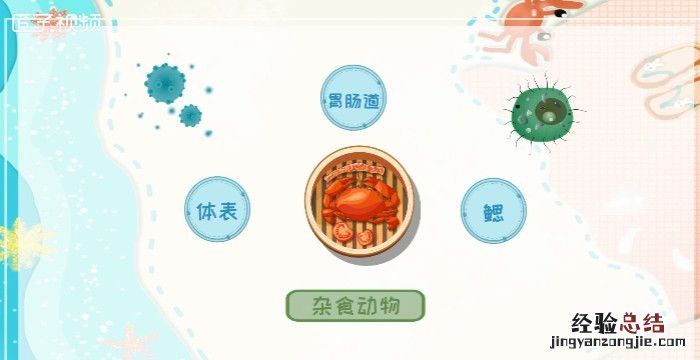 青蟹怎么保存,螃蟹在家怎么保存