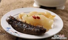 海参和鱼胶哪个更有营养