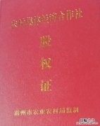 农村发的股权证是干什么用的?
