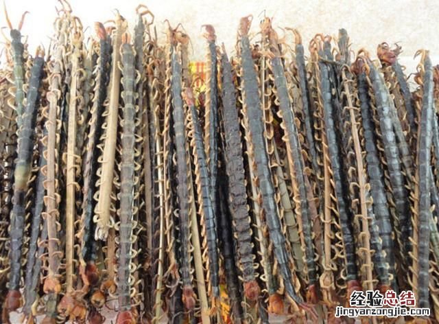 吃蜈蚣对身体有什么好处