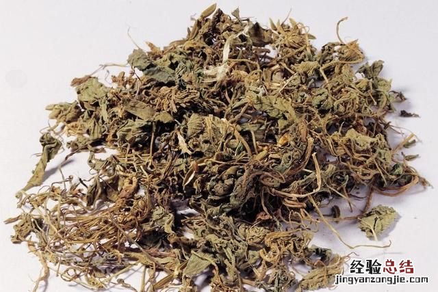 薄荷开花结果后什么时候取籽 薄荷不开花怎么回事