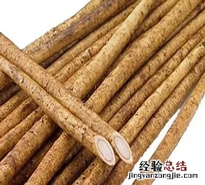 牛蒡是什么样子的牛蒡 牛蒡是什么图片