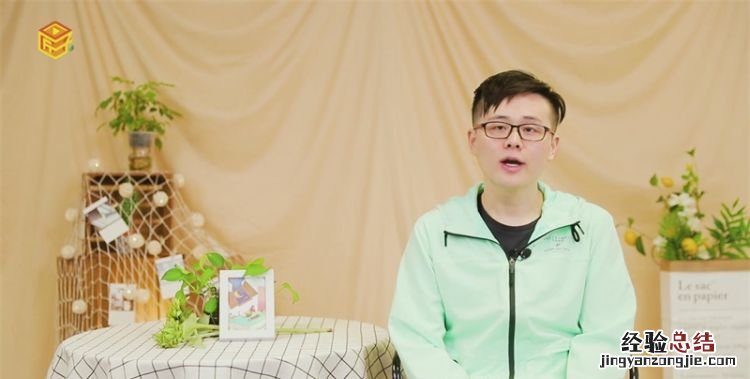 凤凰花象征什么,凤凰树的花像什么写比喻句怎么写