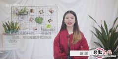 木香花一年开几次