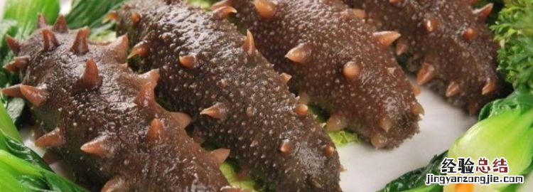 海茄子是什么,海茄子生长在什么地方