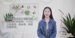 南昌有什么好玩的地方