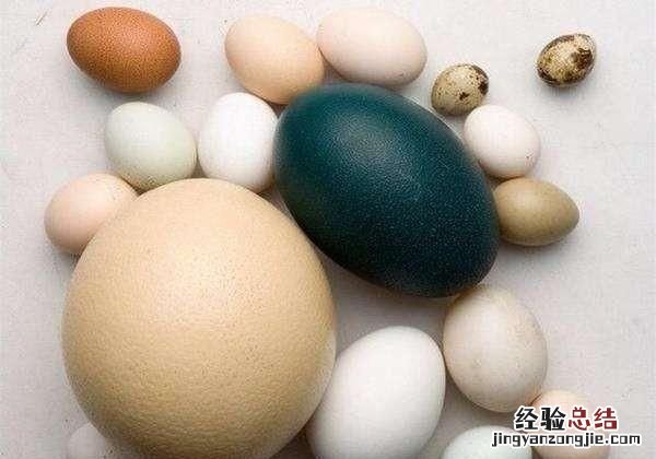 高蛋白的食材有哪些,高蛋白高营养的食材