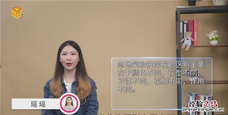 忽地笑和彼岸花的区别
