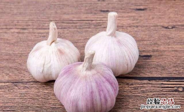 大蒜是荤菜还是素菜