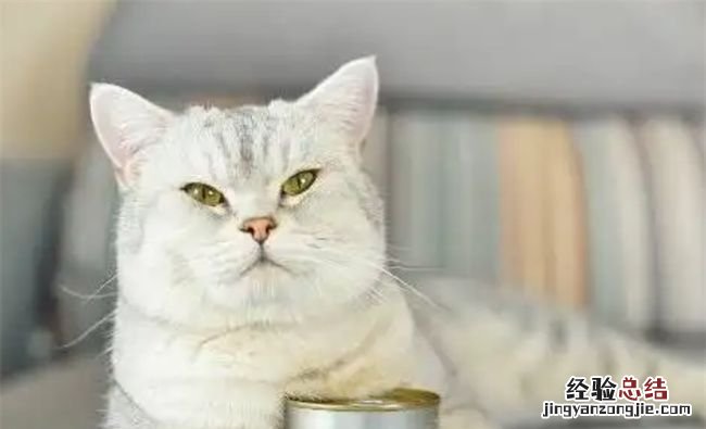 猫罐头能放微波炉里加热