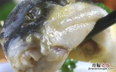 吃河豚后几个小时安全，吃河豚几个小时后安全72小时后安全吗