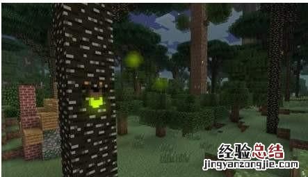 我的世界里有几个世界,我的世界最好玩的几个世界种子