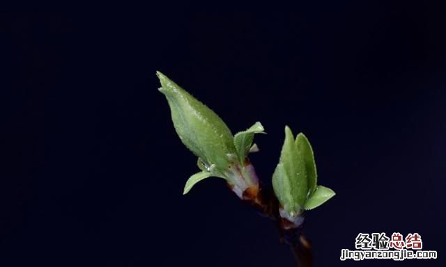 怎么拍照片好看有高级感