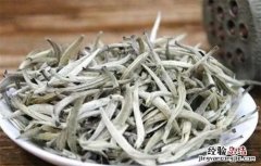 白毫银针属于绿茶，白毫银针茶属于什么茶