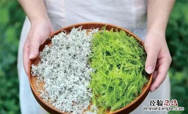 莓茶怎么保存比较好
