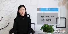树木的种类，树的种类名称