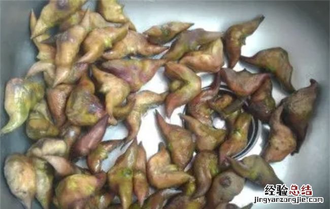 菱角冷冻一年可以食用，发运冷冻食品需要的冷冻包是什么材质