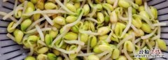 豆子发芽了能吃，豌豆放冰箱一周发芽了还能吃不