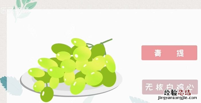 葡萄的种类,葡萄有哪些种类