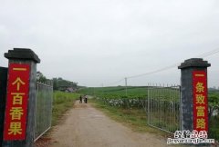 百香果怎么会被称为是水果之王呢