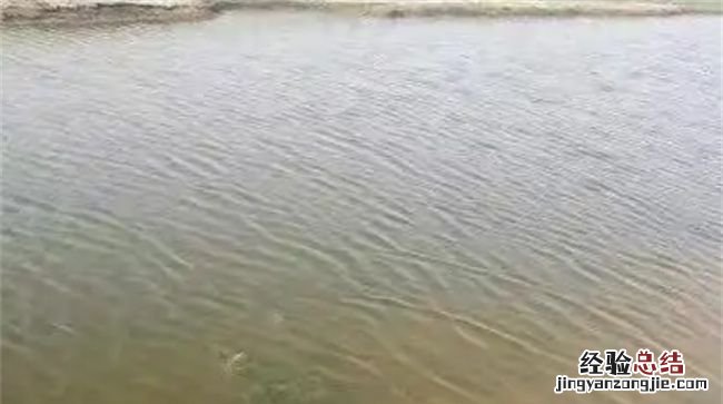 怎样测试鱼缸水质好坏,水产养殖中如何分清水质的好坏