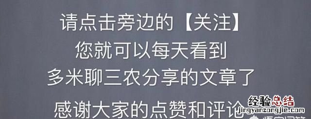 黄鼠狼是不是狼呢?为什么要叫黄鼠狼呢