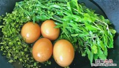 农村俗语三月三九月九，荠菜花煮鸡蛋治偏头痛是真的