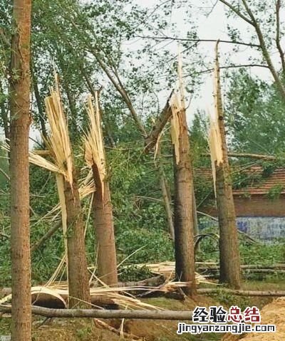 剪力墙承重墙怎么拆除 什么是剪力墙和承重墙用图说明