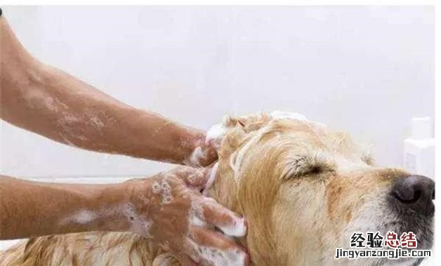 一个月水费20元正常吗,一人住水费一个月30元正常