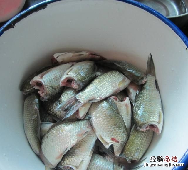 鱼胆有毒么 鱼胆真的有毒吗